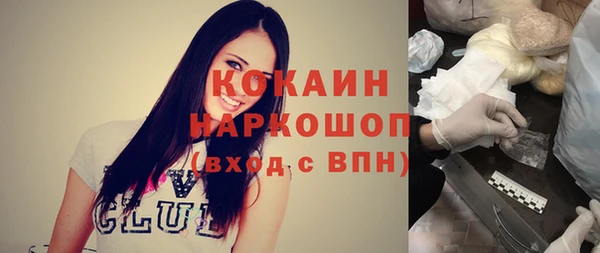 стаф Арсеньев