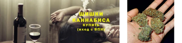 стаф Арсеньев