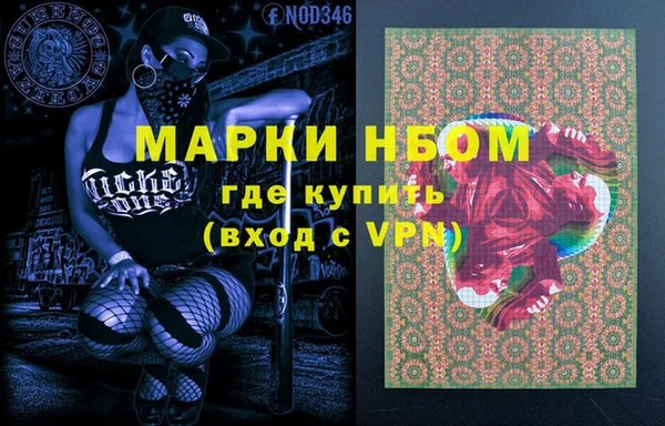 стаф Арсеньев