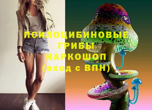 mdpv Армянск